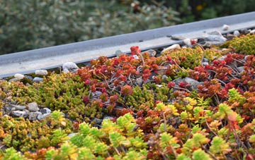 the cost of Pityme green roof installation