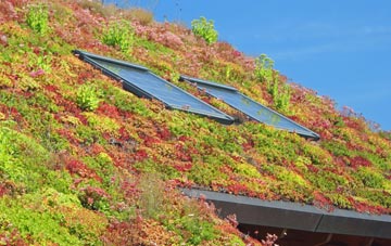 Pityme living roof systems